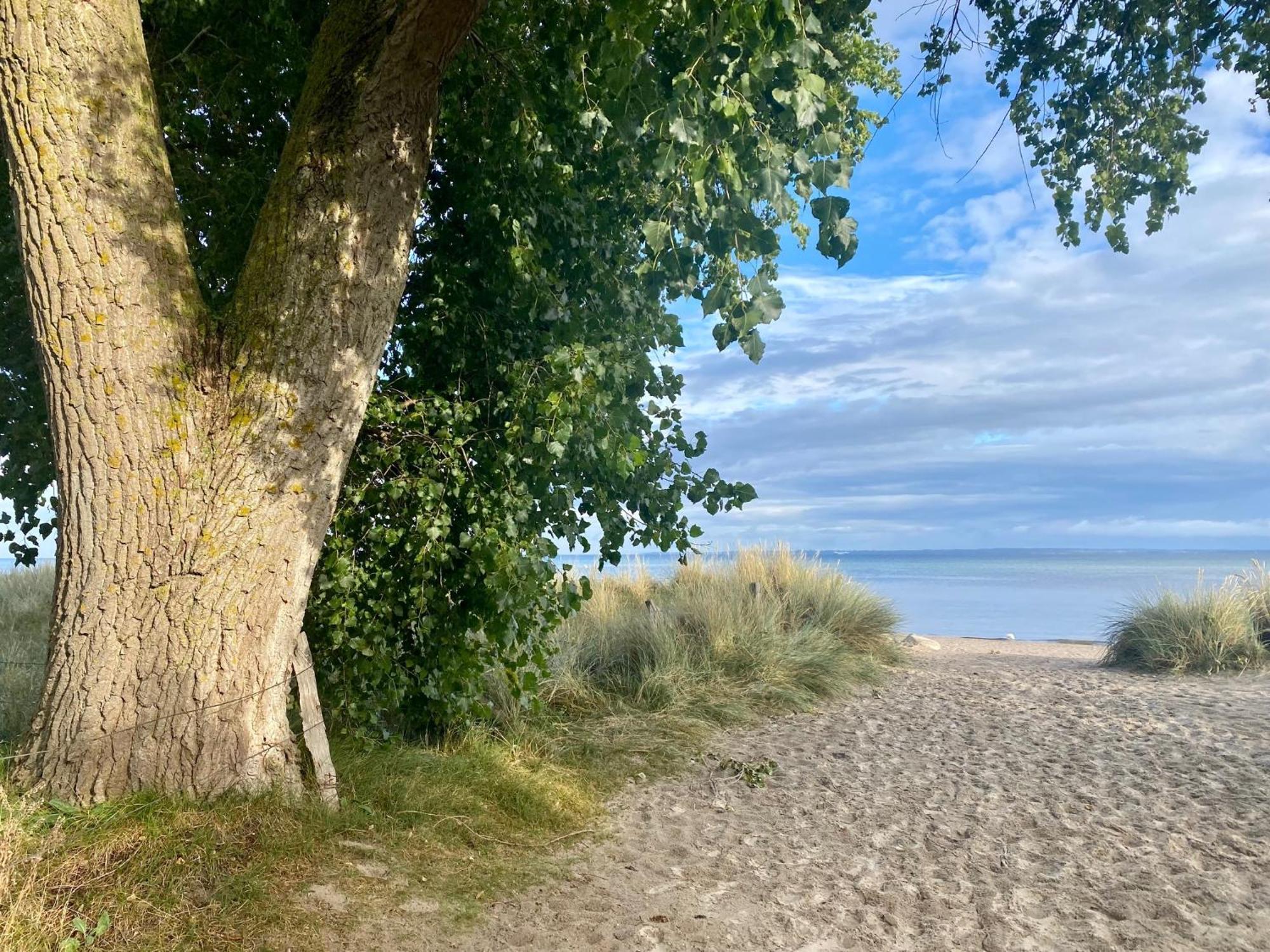 Feriendorf Südstrand Haus 40 Pelzerhaken Exterior foto